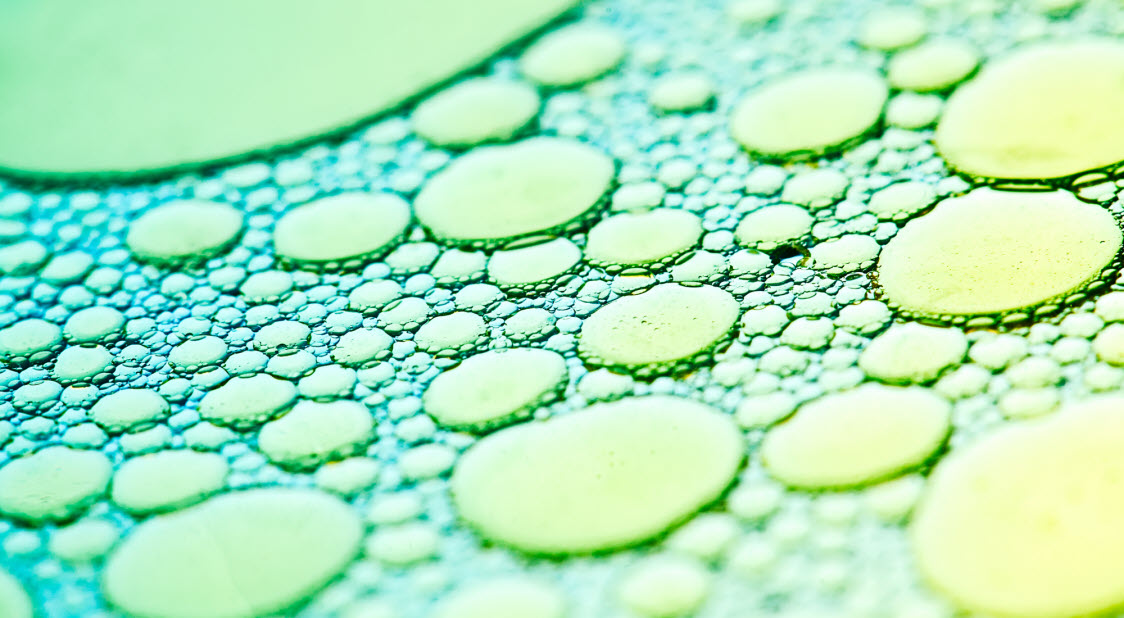 le coq sportif grandville homme prix