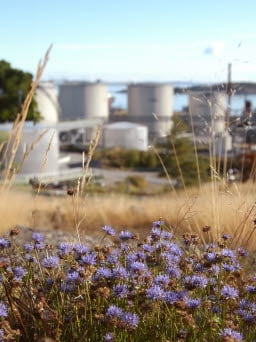 Nynäshamn Refinery